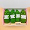 NO-sew Crochet Pattern Pickle image 2